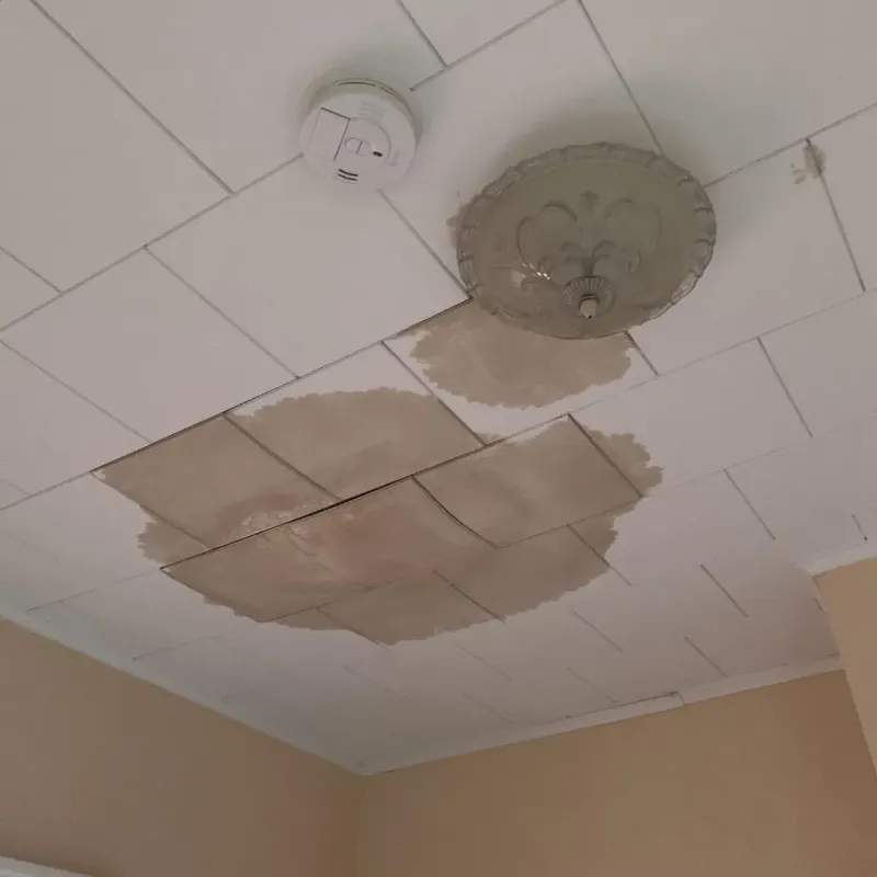Ceiling Water Damage Repair in Black Jack, MO