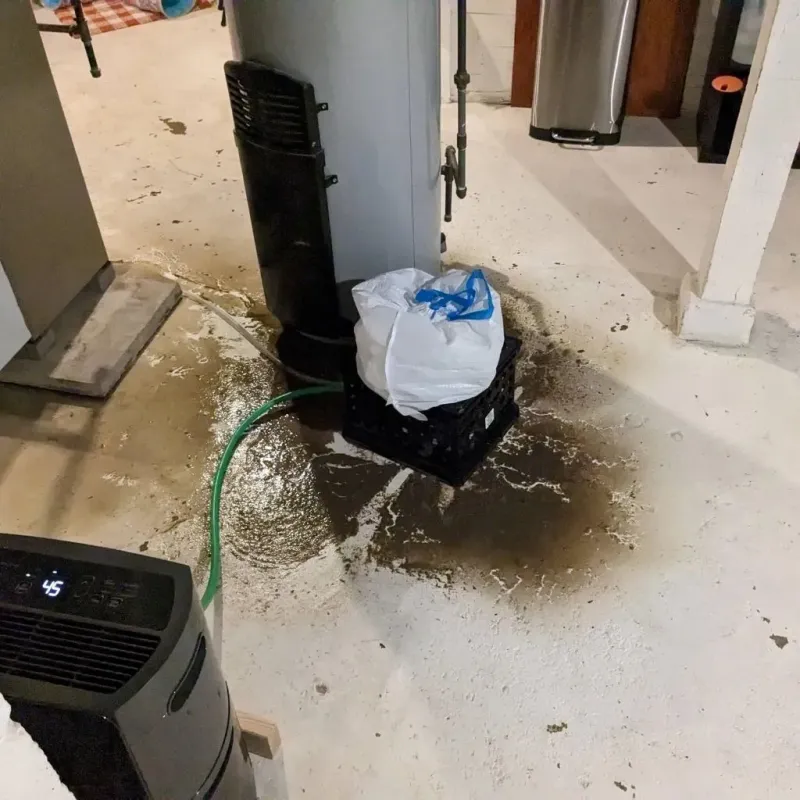 Sewage Backup Cleanup Service in Black Jack, MO
